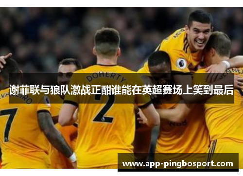 谢菲联与狼队激战正酣谁能在英超赛场上笑到最后